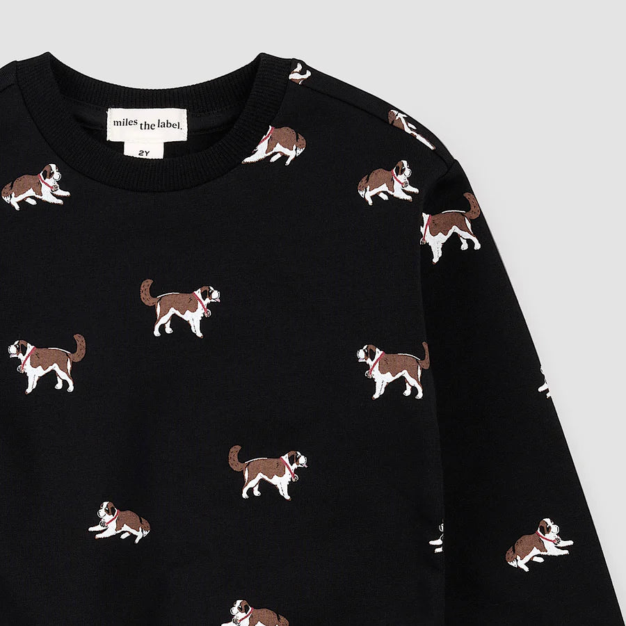 MILES DOG SWEATSHIRT