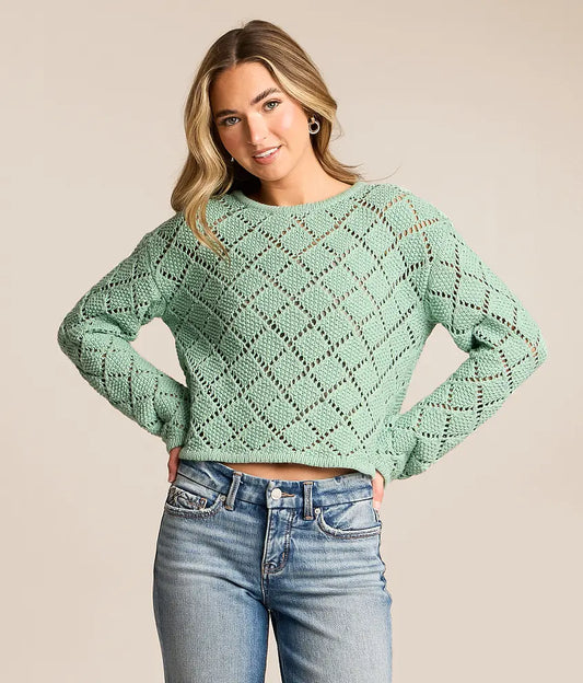 ZSUPP ZW261386 CROCH CROP LS TOP