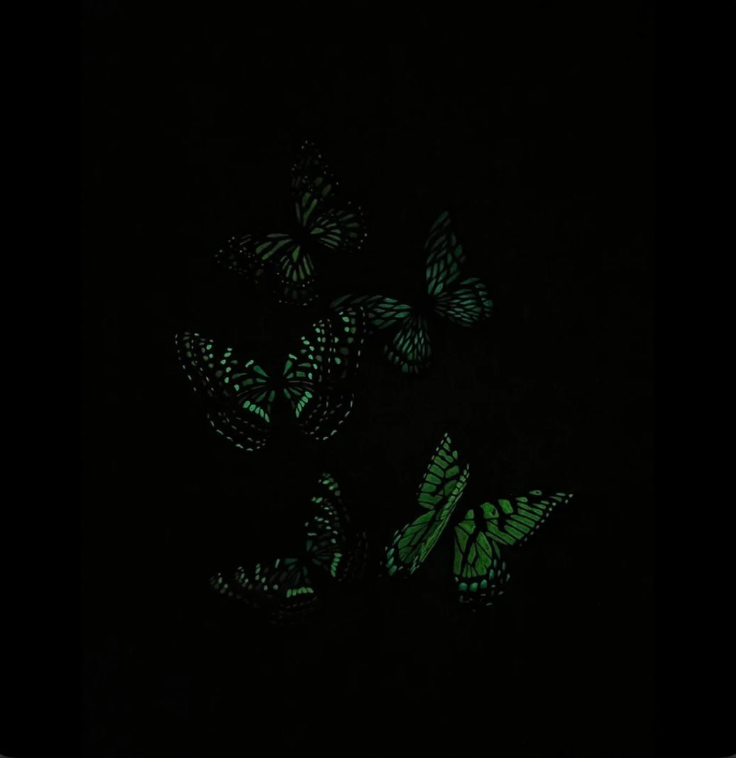 Assorted Glow in the Dark Butterfly Clips