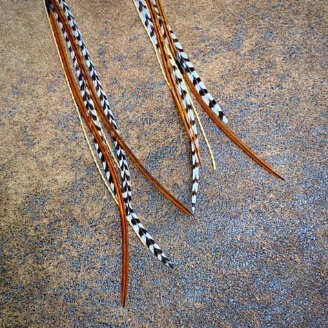 ASTALI TURQ FTHR EARRING