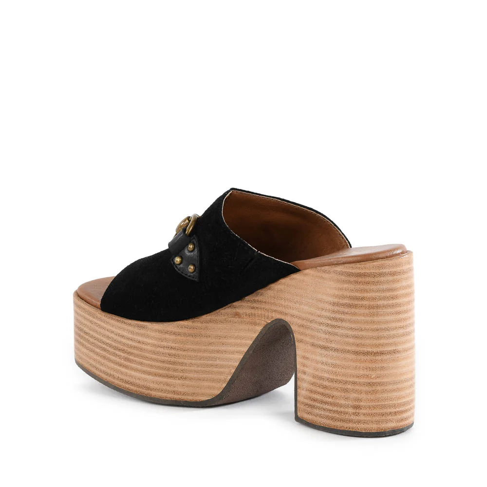 SEY TAKE THE LEAD PLATFORM